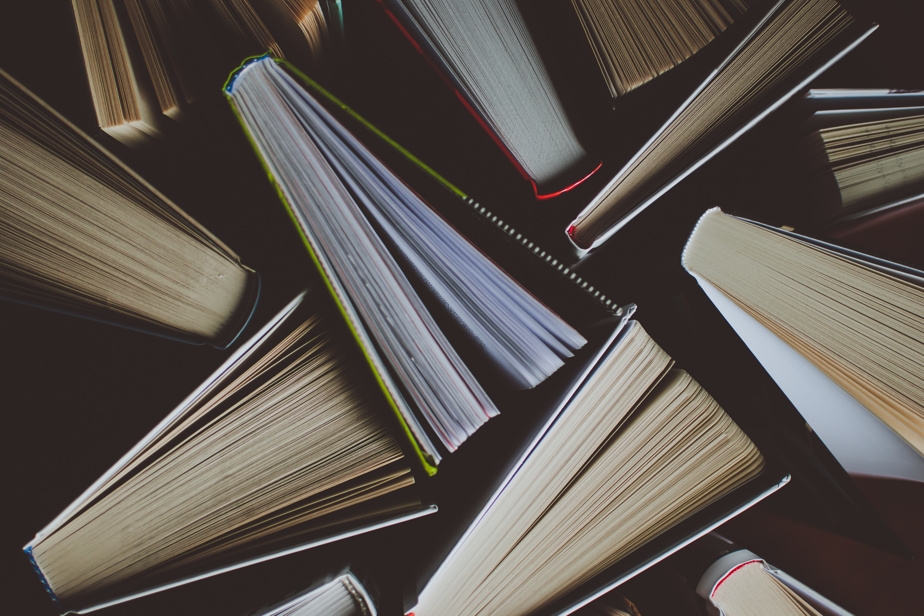 Une bibliothèque comme une petite librairie