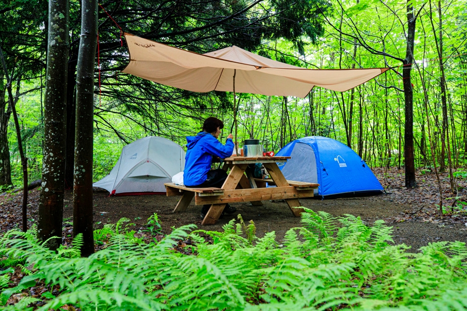 Suggestions d'abris pour les sorties en nature