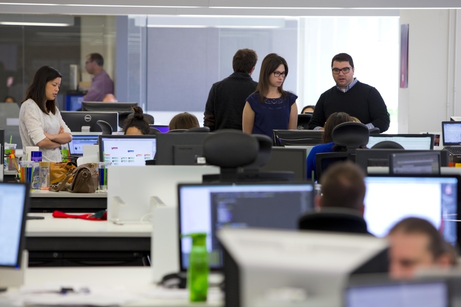 Cohabiter avec les tribus au travail
