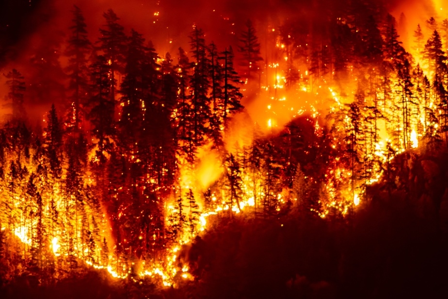 L'incendie de forêt sur l'île de Vancouver s'est étendu de 58 %