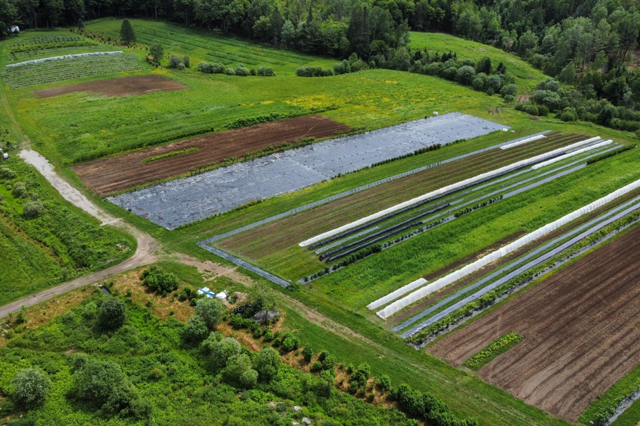 Leur mission : créer les arbres fruitiers les mieux adaptés aux climats d'ici