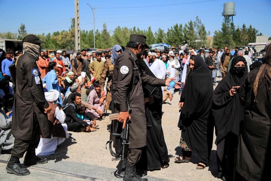Les talibans ont « militarisé » le système judiciaire pour opprimer les femmes