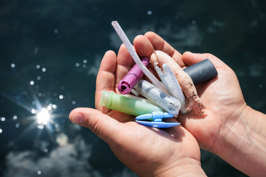 Environ une demi-tonne de déchets plastiques retirés de l'estuaire