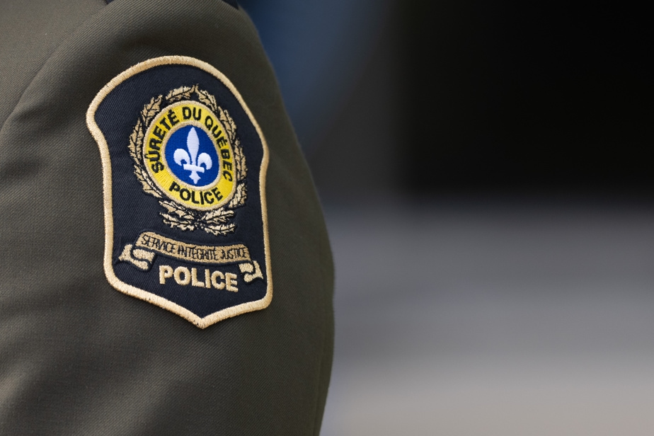Un motocycliste perd la vie après une collision avec un orignal