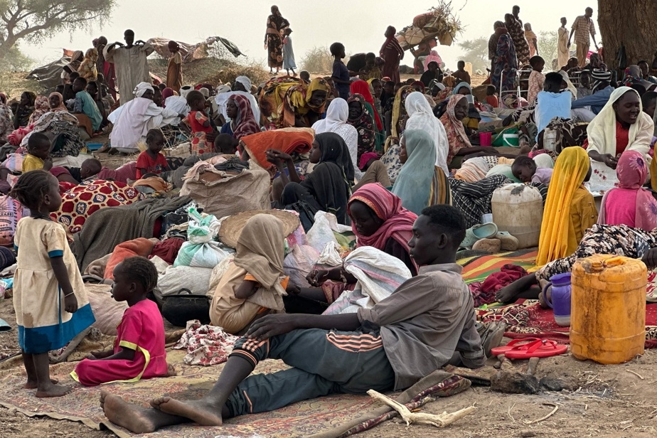 Bonnes raisons de penser que des « crimes contre l'humanité » sont commis au Darfour