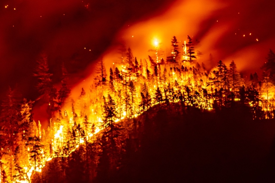 Le risque d'incendies de forêt persistera jusqu'à la fin de l'été