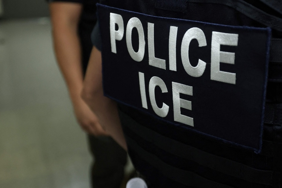 Migrants haïtiens aux États-Unis, santé de Trump et pâtes Stefano