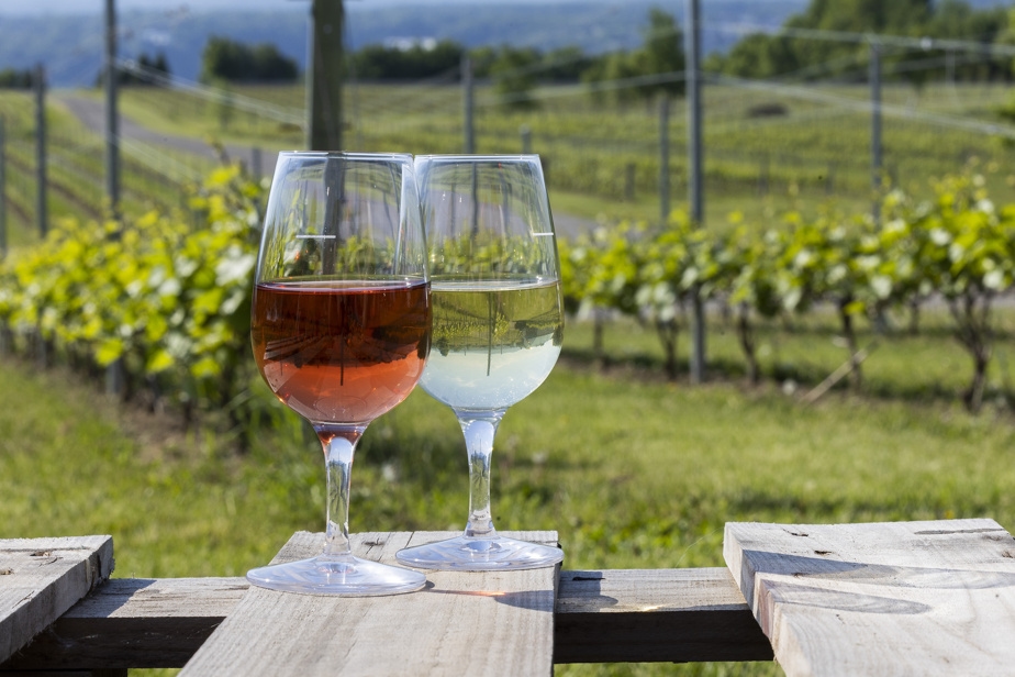 Quand l'agrotourisme devient du récréotourisme