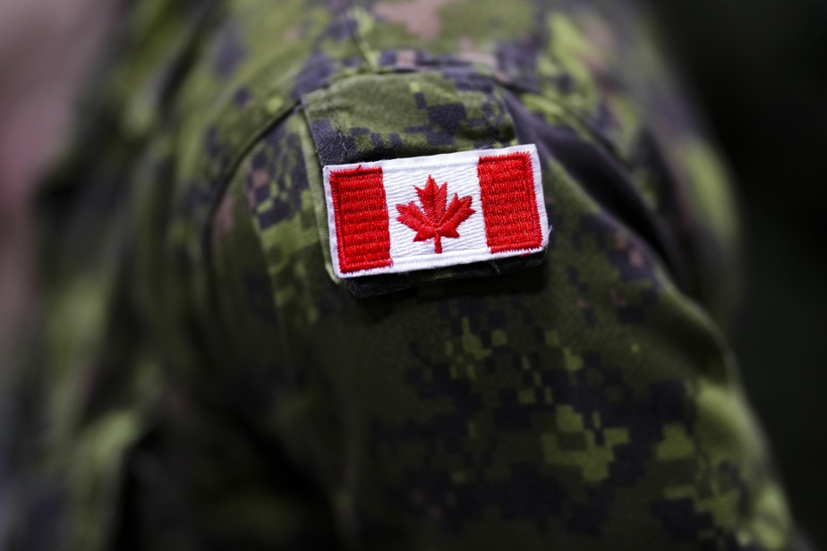 Un fabricant canadien chargé d'équiper la marine royale de drones