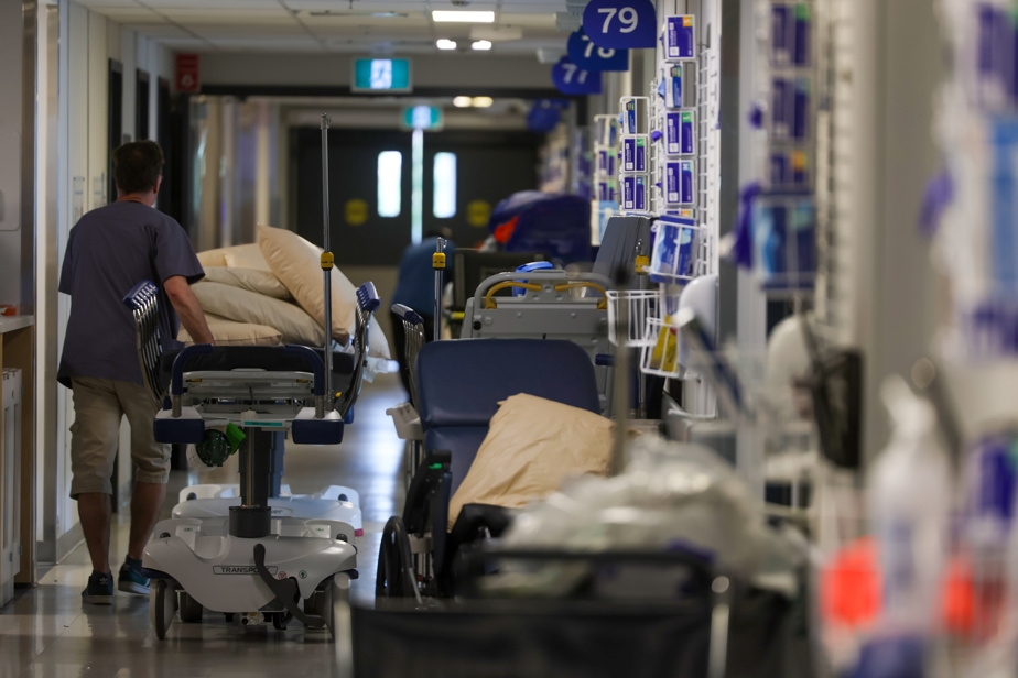 Automne critique pour le Dossier santé numérique