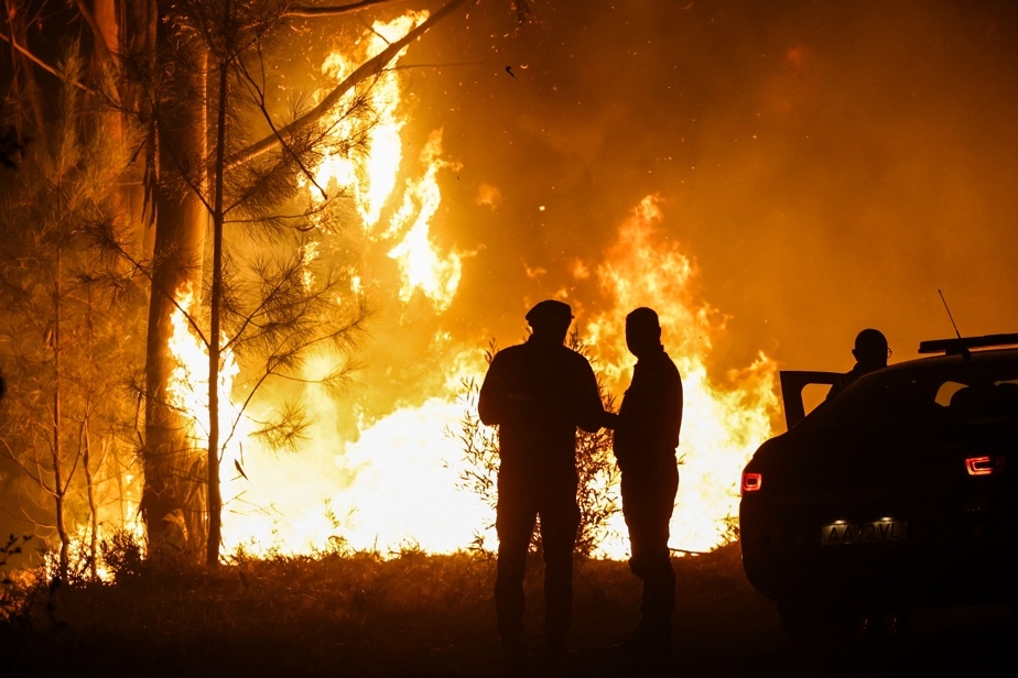Les rejets dans l'air liés aux incendies de forêt particulièrement élevés cet été