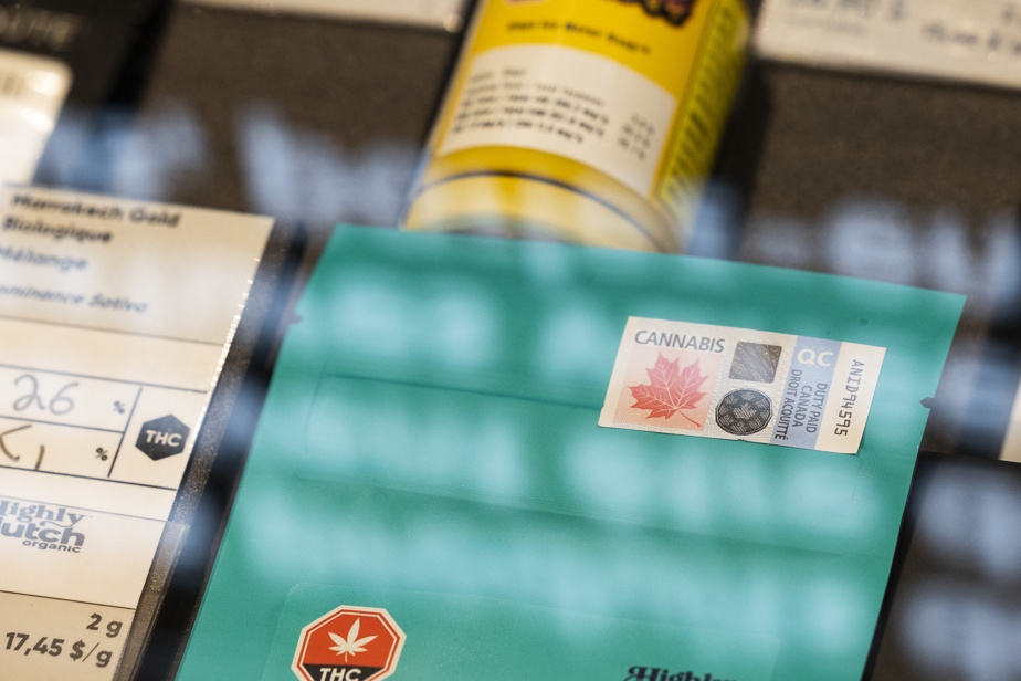 Le cannabis augmenterait les risques de maladie cardiovasculaire