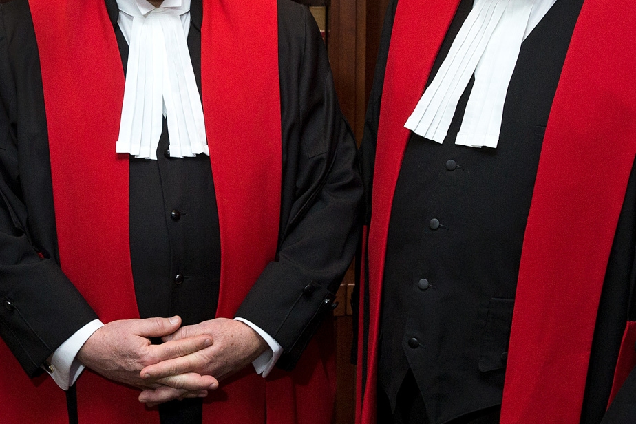 Un juge a dépassé ses compétences en critiquant une loi linguistique, tranche la Cour