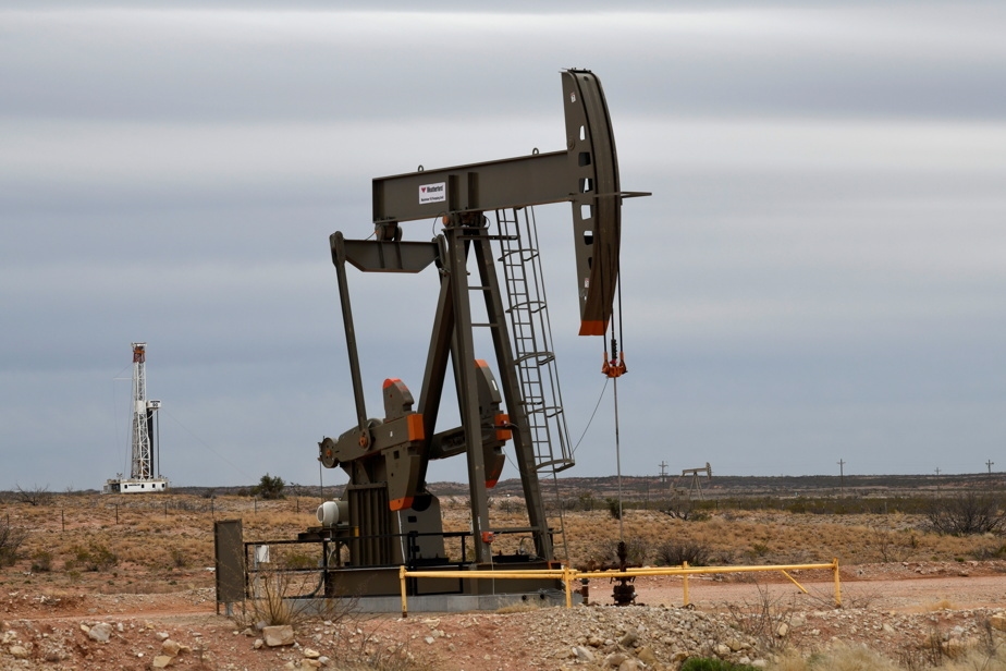 Aucune baisse de la consommation de pétrole prévue jusqu'en 2050