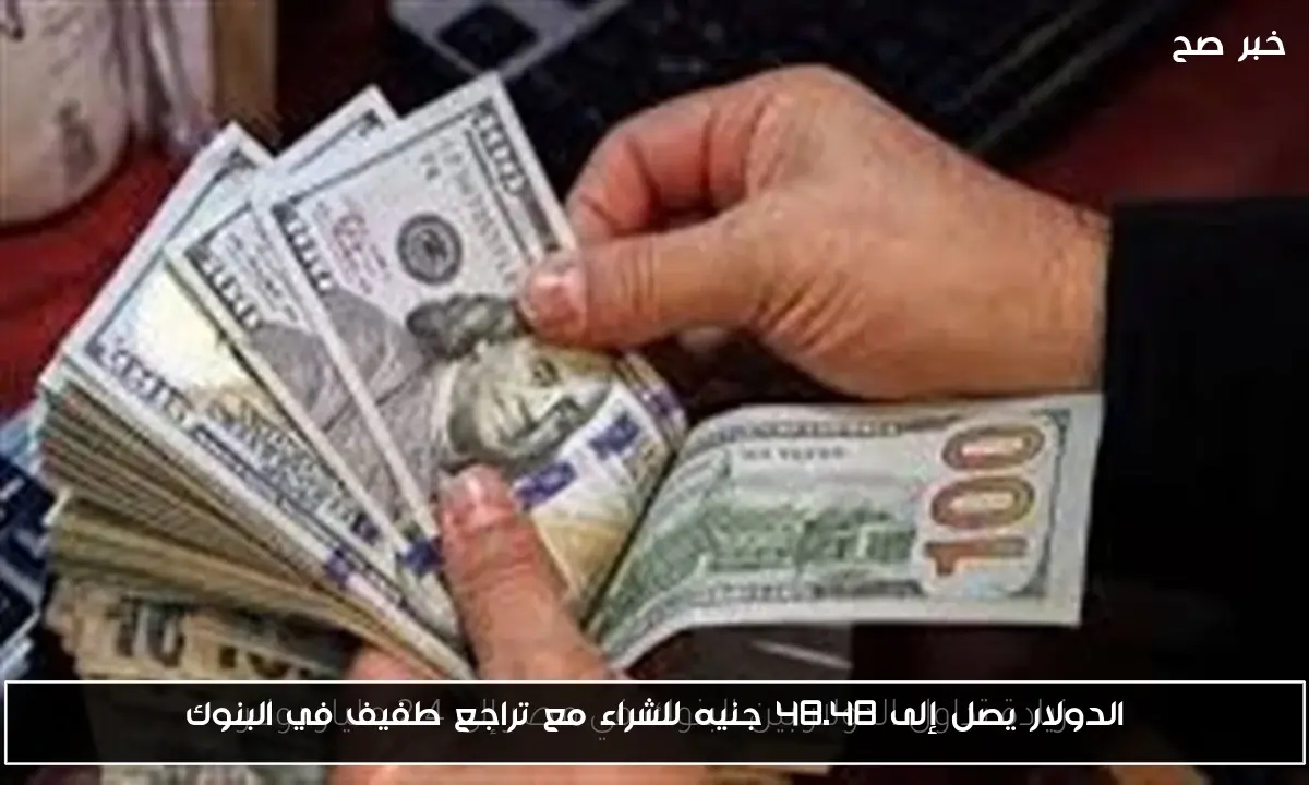 الدولار يصل إلى 48.48 جنيه للشراء مع تراجع طفيف في البنوك