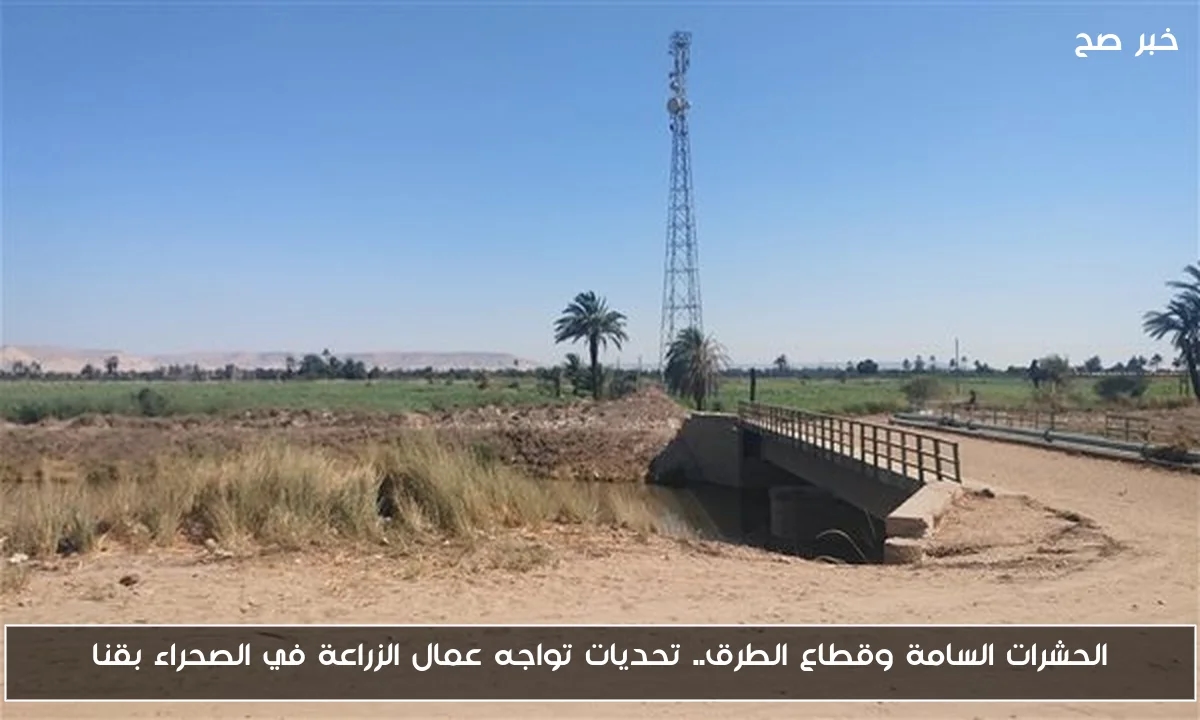 الحشرات السامة وقطاع الطرق.. تحديات تواجه عمال الزراعة في الصحراء بقنا