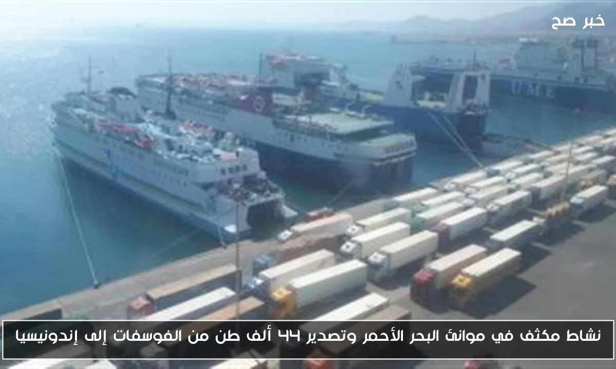 نشاط مكثف في موانئ البحر الأحمر وتصدير 44 ألف طن من الفوسفات إلى إندونيسيا