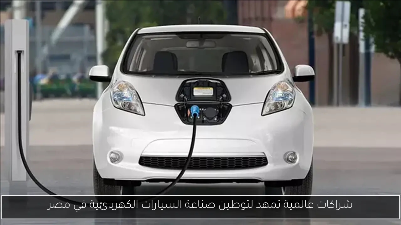 أمير هشام يكشف عن استعداد فيريرا لألفينا والدباغ لمواجهة المقاولون العرب