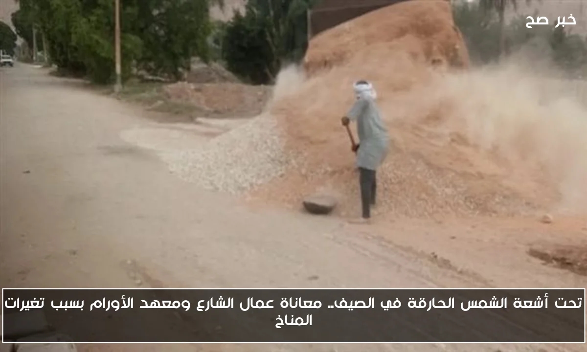 تحت أشعة الشمس الحارقة في الصيف.. معاناة عمال الشارع ومعهد الأورام بسبب تغيرات المناخ