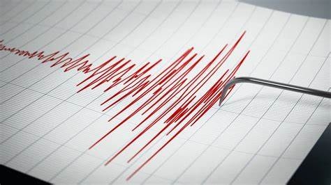 تحذير من تسونامي بعد حدوث زلزال بقوة 7.1 درجة بالقرب من جزيرة تونغا