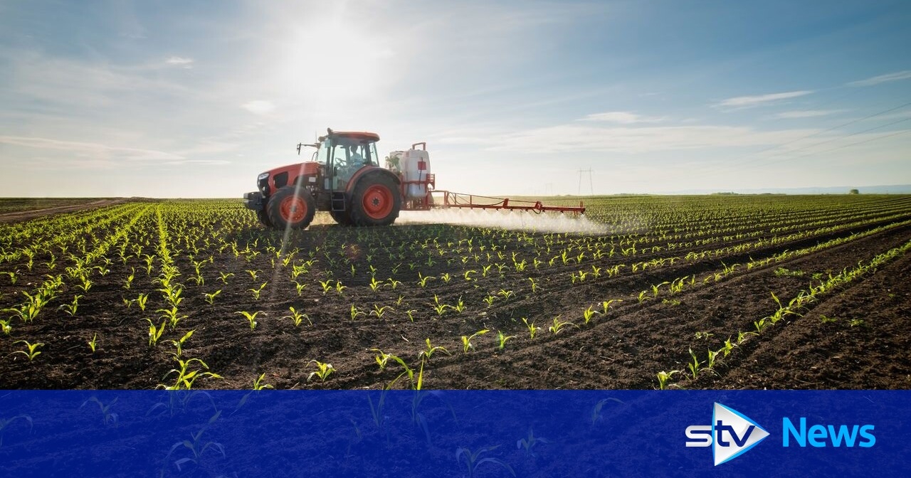 Should Scots pay more for locally sourced produce at supermarkets?