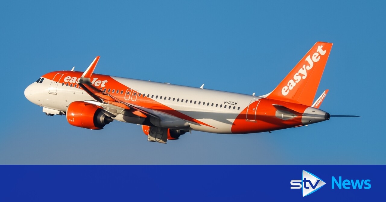 EasyJet flight declares mid-air emergency after 'bird strike'