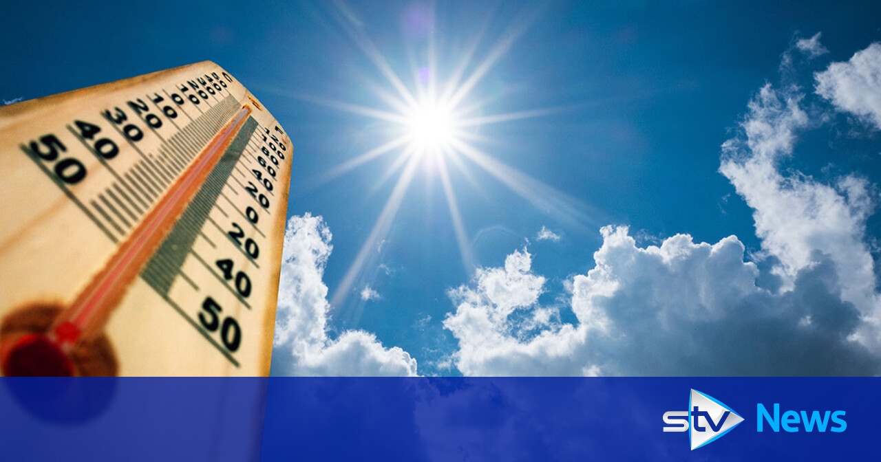 Warning over sunburn, food poisoning, bites and stings amid warm weather
