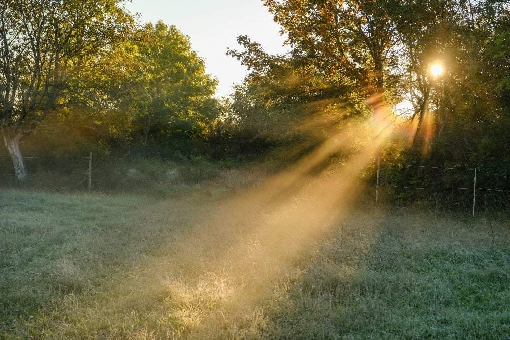 Tuesday's weather: Cool, foggy patches and warm conditions expected in SA