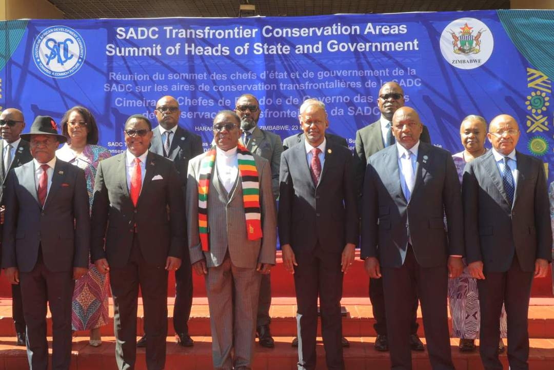 ‘Powerful instruments': SADC leaders urged to strengthen collective anti-poaching systems