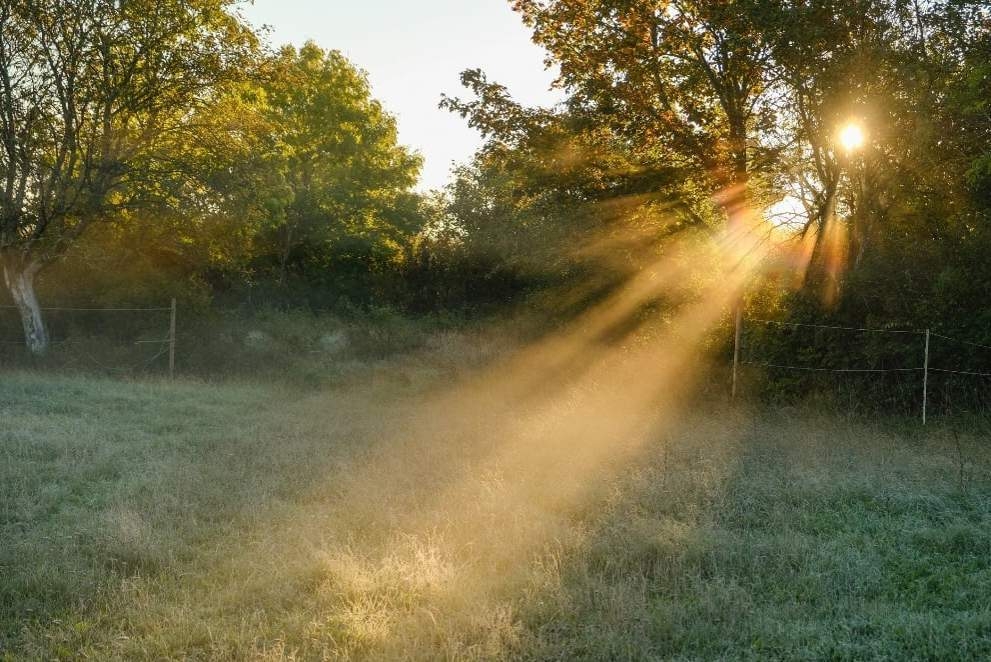 Thursday's weather: Rain for KZN and fine, cold weather with morning fog for the rest of SA