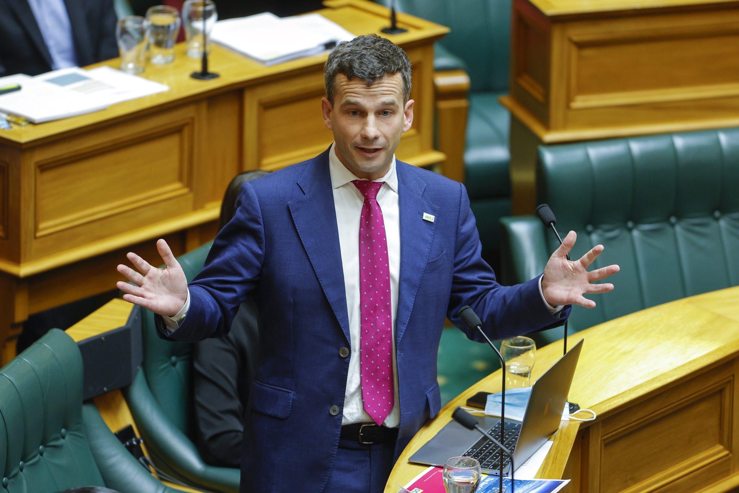 Parliament's law-making watchdog warns against Regulatory Standards Bill