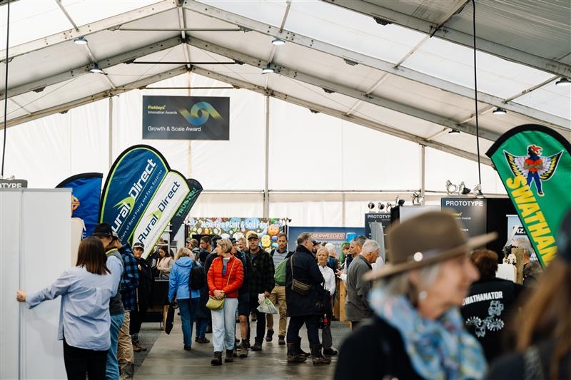 Wool is making money again – and other rural success stories