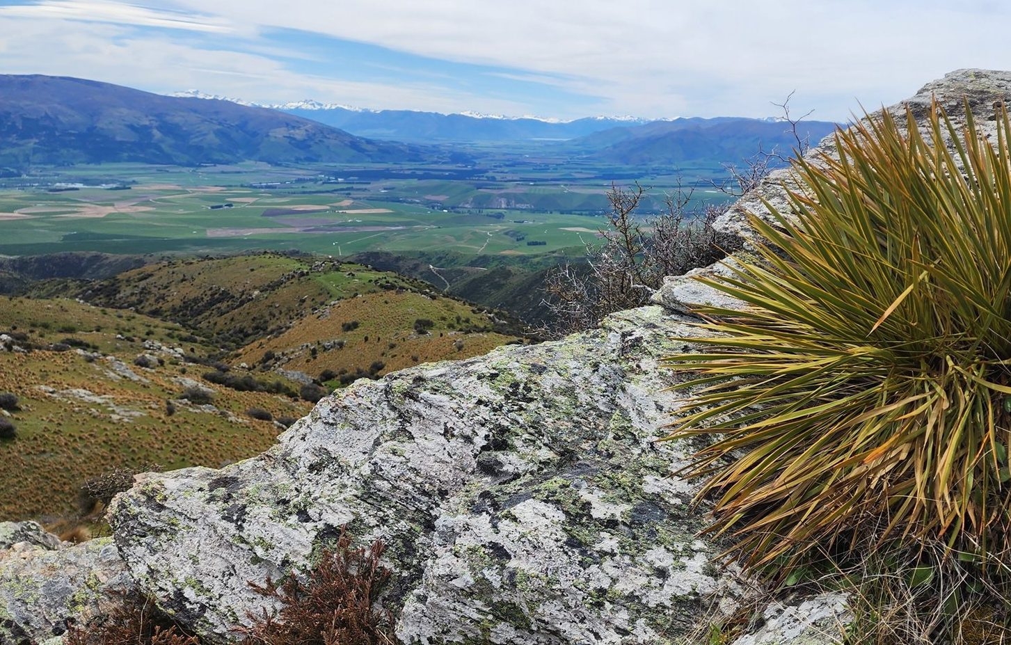 Gold standard: fast-track mining project must pass environmental audit