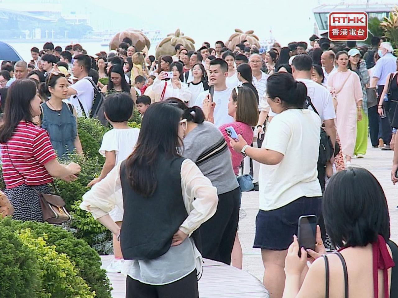 Govt gauges interests to 'take care' of visitors: CE