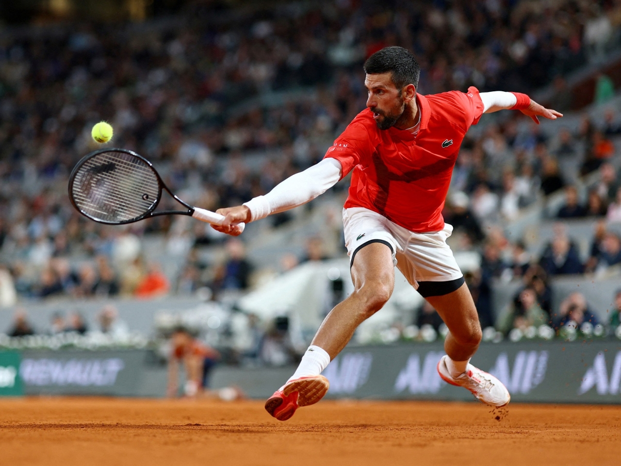 Djokovic cruises into French Open second round