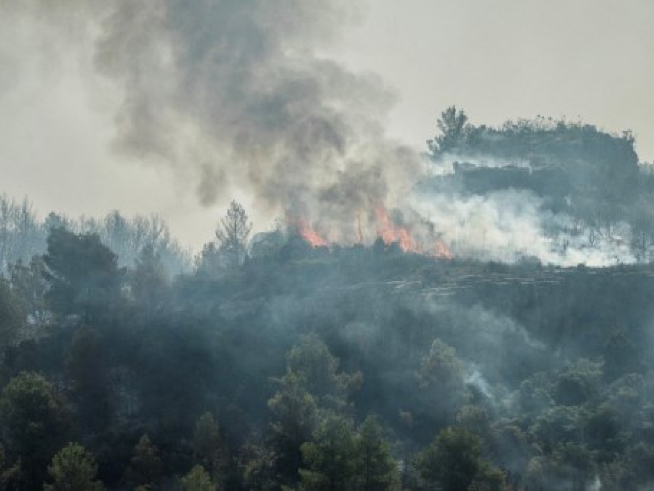 Deadly wildfire spreads in southern France