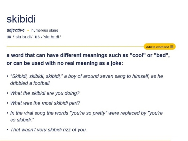 'Skibidi', 'tradwife' added to Cambridge dictionary
