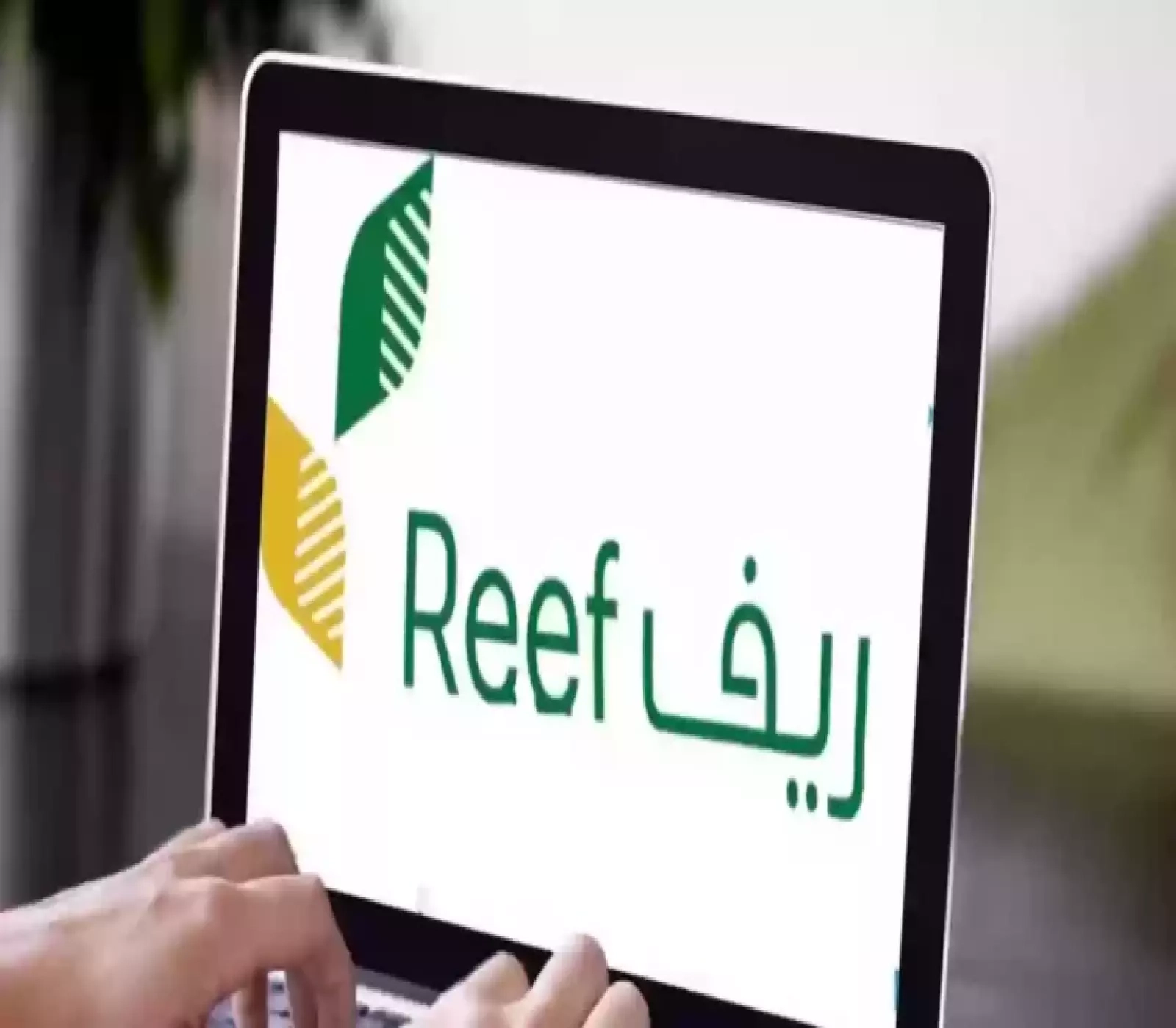 إنت مؤهل.. خطوات الاستعلام عن دعم ريف ومعرفة استحقاق الأهلية 2025 بسهولة