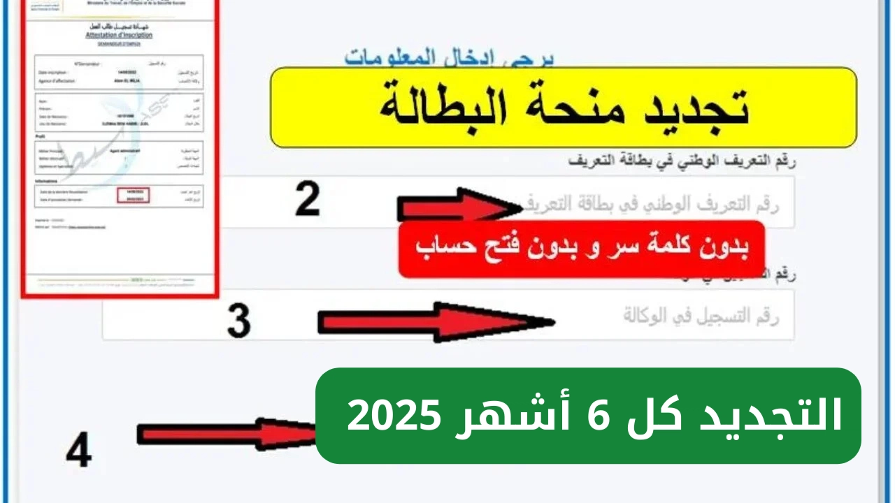 المنحة اتفتحت بالتفصيل الكامل .. خطوات تجديد منحة البطالة الجزائر 2025 والشروط اللازمة فرصة رسمية