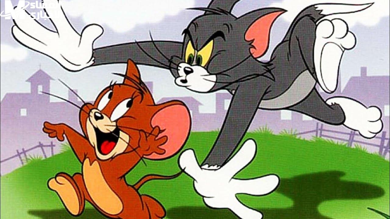 القط والفار راجعين يضحكوك من جديد على CN.. شغل توم وجيري وشوف المتعة بعينك