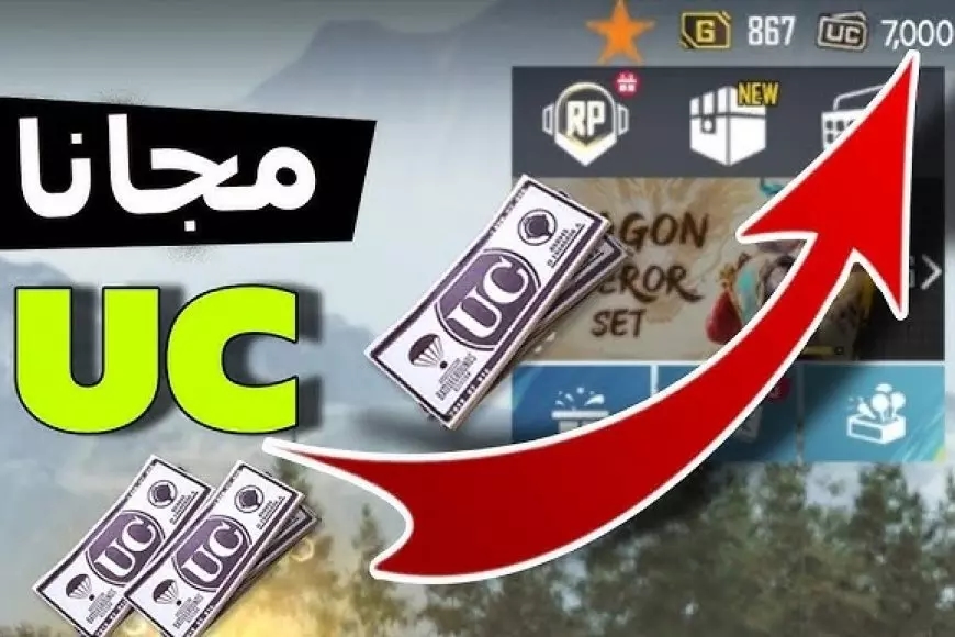 شحنها في ثانية.. شدات ببجي وصلت واللعبة بتقولك أهلا بالحماس