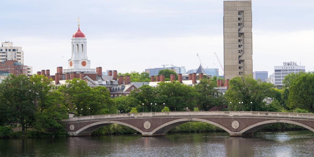 Which Is Worse, Trump or Harvard?