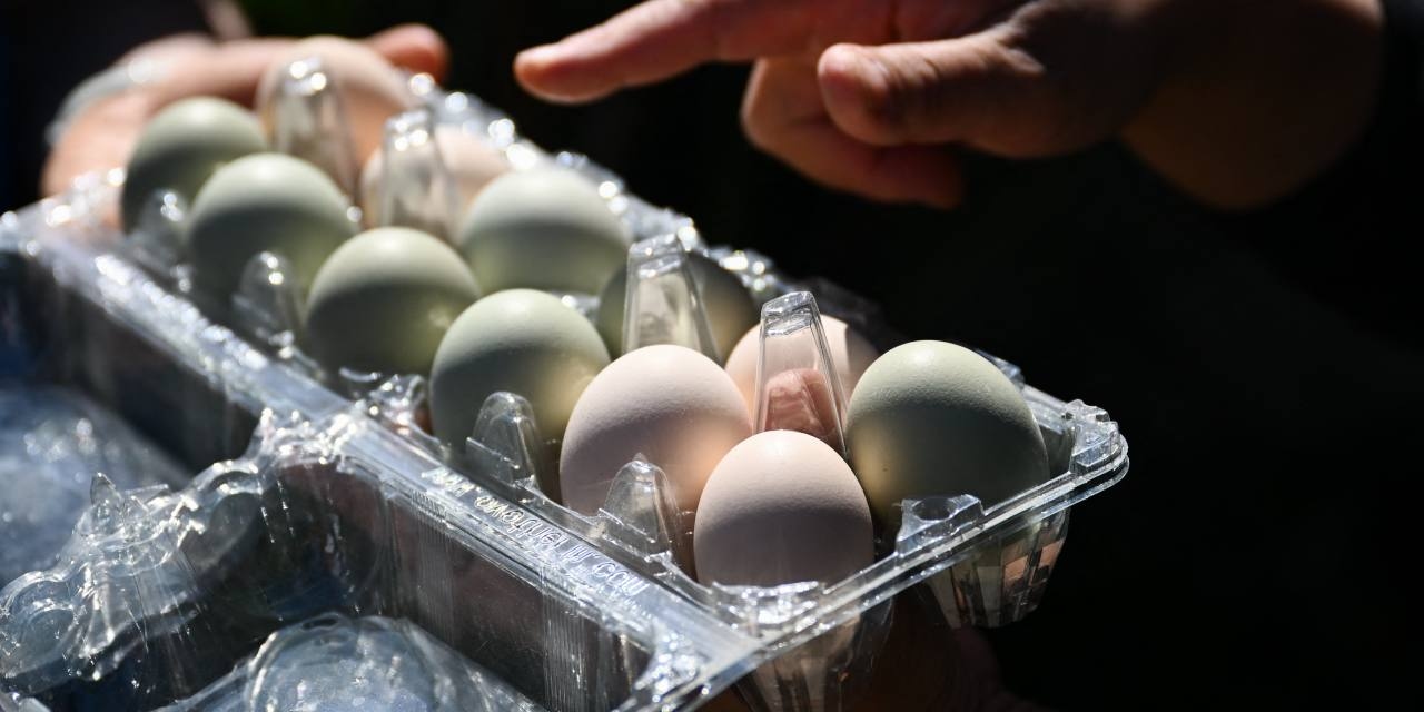 California's Cage-Free Regulatory Scramble