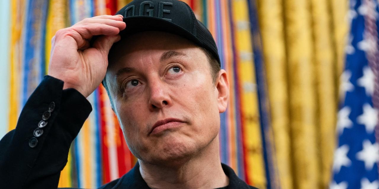 Whose Pork Do You Mean, Elon?