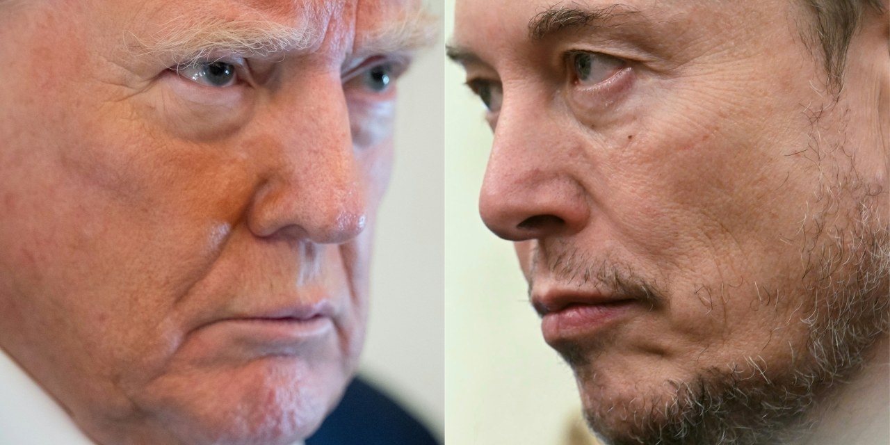 Musk Is a Genius, but He Isn't a Political One