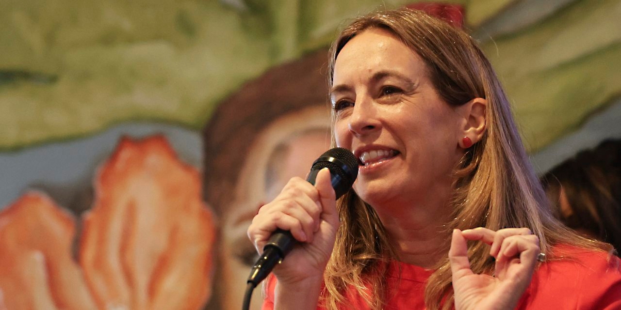 Another ‘Moderate' Runs for Governor