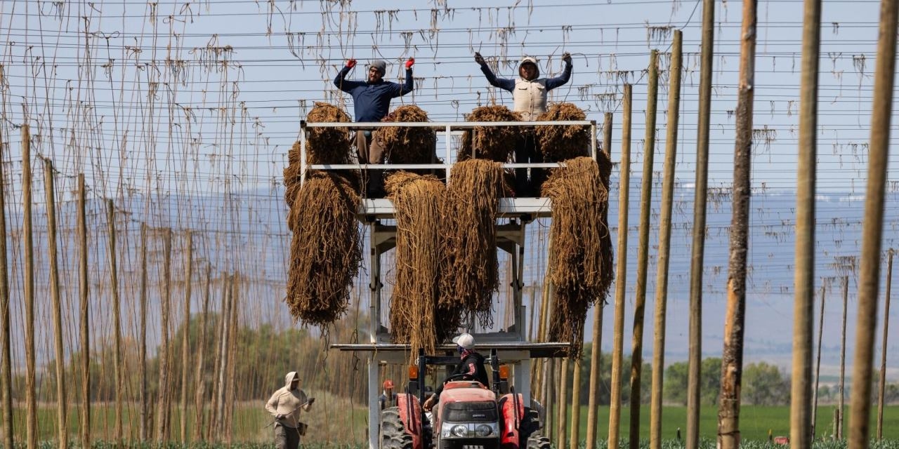 Trump Does an Immigration Solid for Farmers