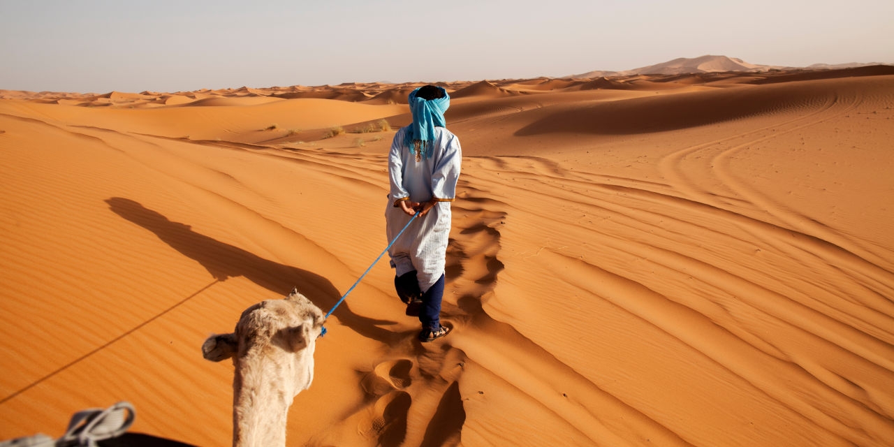 ‘Shifting Sands' Review: Roads Into the Sahara