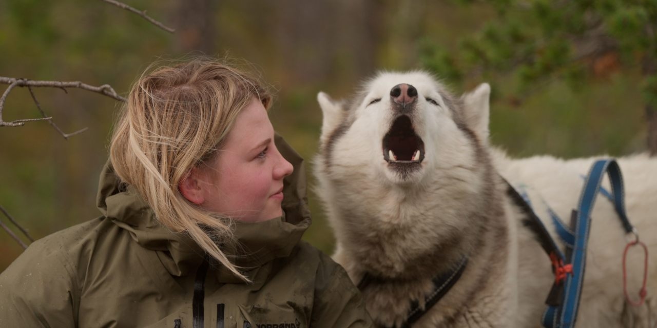 ‘Folktales' Review: Young Adults Mushing Forward