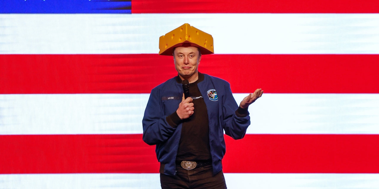 Elon Musk and the American Majority